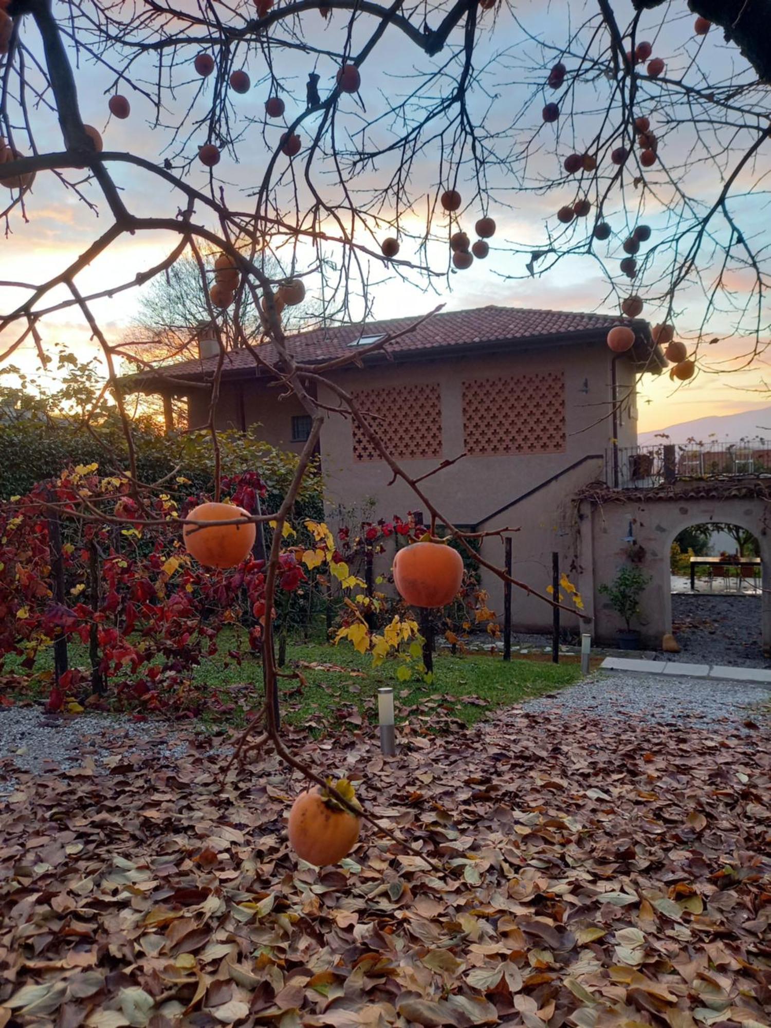 B&B Cascina La Cinciallegra Oggiono Eksteriør bilde